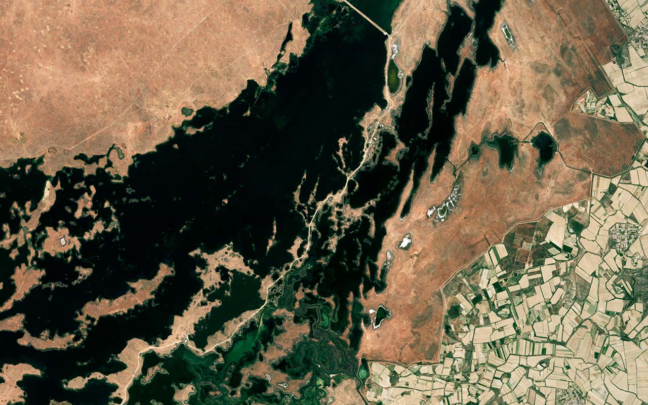 TIL-AR25-Art1-cover TIL-AR25-Art1-cover