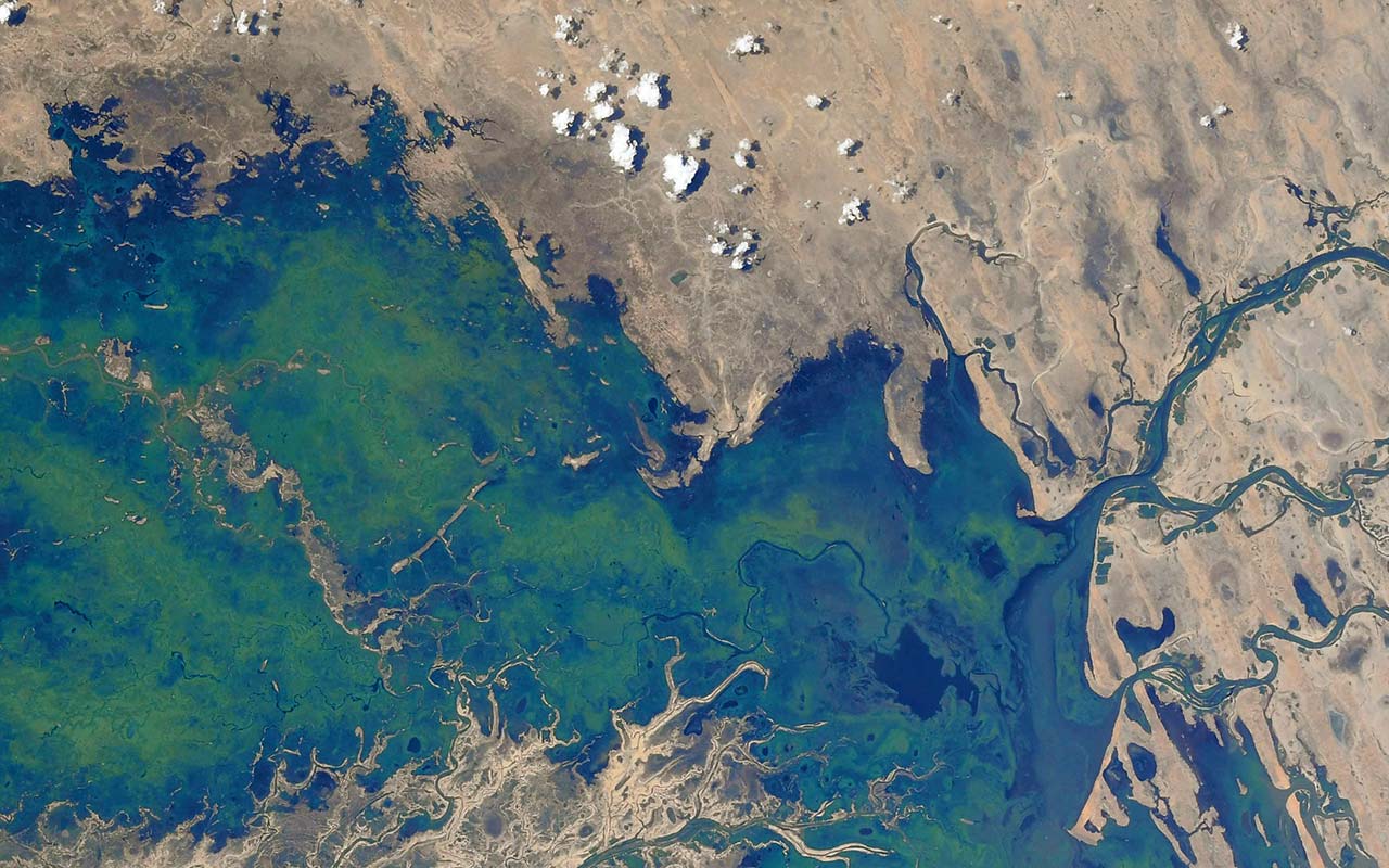 TIL-AR25-Exec-cover TIL-AR25-Exec-cover