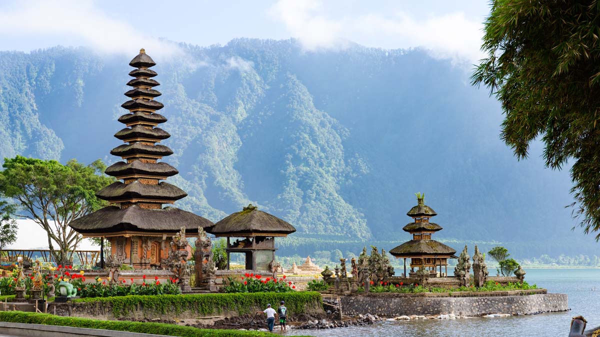 TIL-AR25-SA-1 TIL-AR25-SA-1